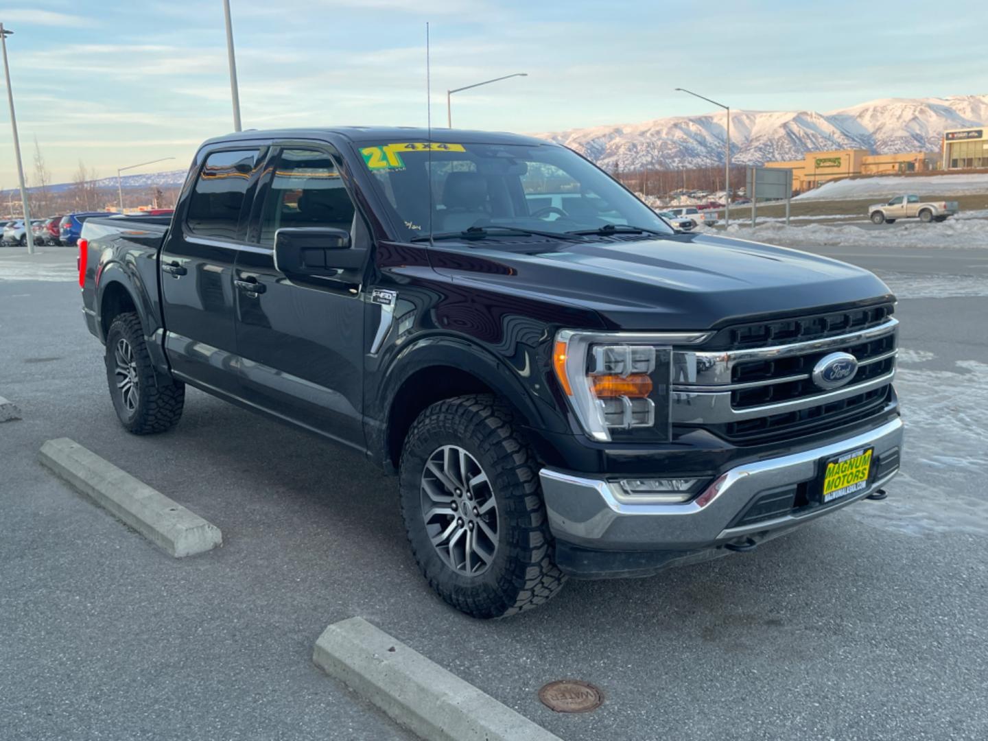 2021 BLACK /black leather FORD F-150 XL (1FTFW1E57MF) with an 5.0L engine, Automatic transmission, located at 1960 Industrial Drive, Wasilla, 99654, (907) 274-2277, 61.573475, -149.400146 - Photo#4